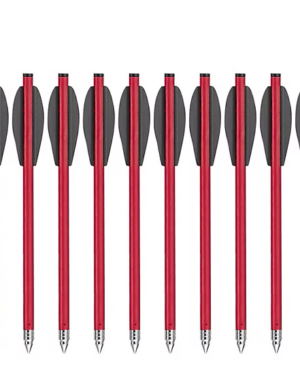 10 x EK Archery Übungsbolzen für VLAD