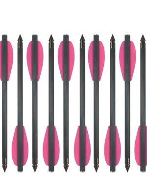 10 x Carbonbolzen für Pistolenarmbrüste 6,3" (160mm) - pink